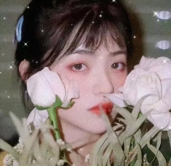 铁血丹心