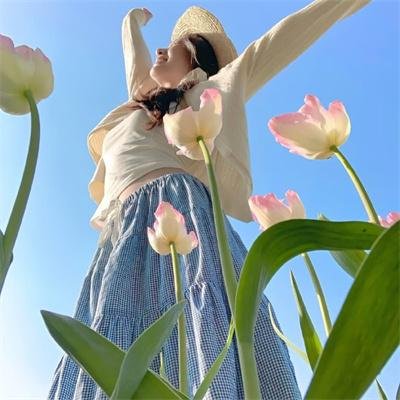 蟾蜍之路